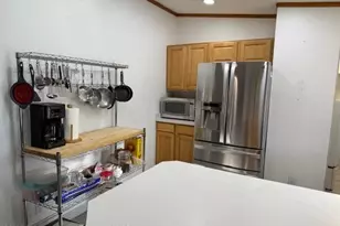 110 Floyd, ElJebel, CO 81623 - Photo 4