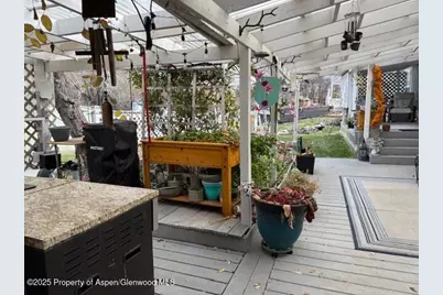 110 Floyd, ElJebel, CO 81623 - Photo 18