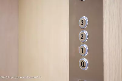 55 Smuggler Grove Road, Aspen, CO 81611 - Photo 50