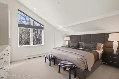 55 Smuggler Grove Road, Aspen, CO 81611 - Photo 34