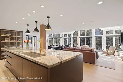 55 Smuggler Grove Road, Aspen, CO 81611 - Photo 12