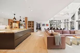 55 Smuggler Grove Rd, Aspen, CO 81611 - Photo 8