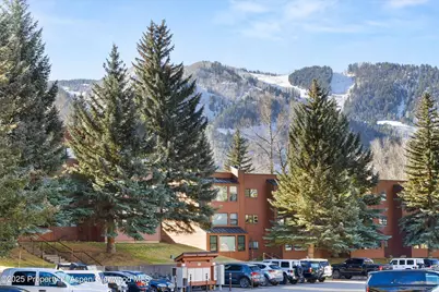 1041 Vine Street, Aspen, CO 81611 - Photo 8