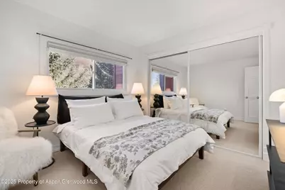 1041 Vine Street, Aspen, CO 81611 - Photo 4