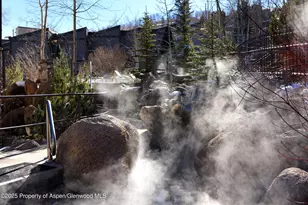 600 Carriage Way, Snowmass Village, CO 81615 - Photo 26