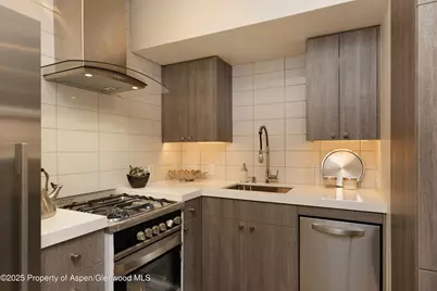 600 Carriage Way #L-6, Snowmass Village, CO 81615 - Photo 16