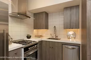 600 Carriage Way, Snowmass Village, CO 81615 - Photo 16