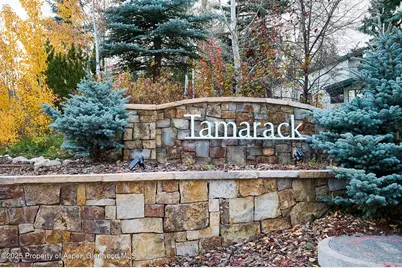 135 Carriage Way #Unit 26, Snowmass Village, CO 81615 - Photo 22