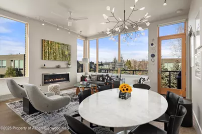 103 Willits Way #204, Basalt, CO 81621 - Photo 4