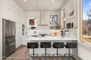 103 Willits Wy, Basalt, CO 81621 - Photo 8