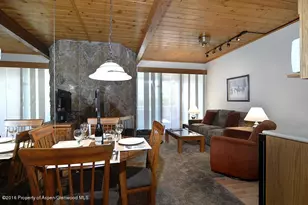 301 E Hyman Ave, Aspen, CO 81611 - Photo 6