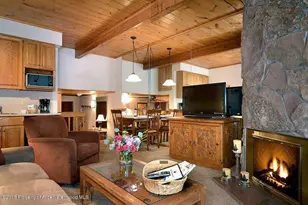 301 E Hyman Ave, Aspen, CO 81611 - Photo 14