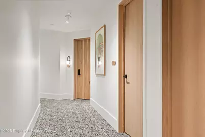 119 Wood Road #206, Snowmass Village, CO 81615 - Photo 14