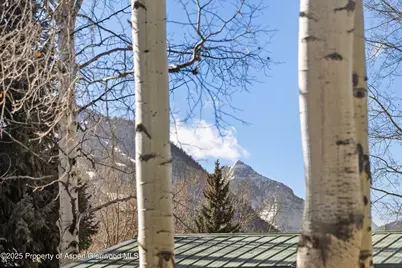 824 Bonita Drive, Aspen, CO 81611 - Photo 32