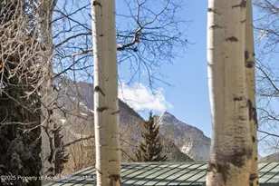 824 Bonita Dr, Aspen, CO 81611 - Photo 32