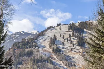 824 Bonita Drive, Aspen, CO 81611 - Photo 34