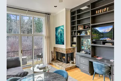 1050 Waters Avenue #9, Aspen, CO 81611 - Photo 2
