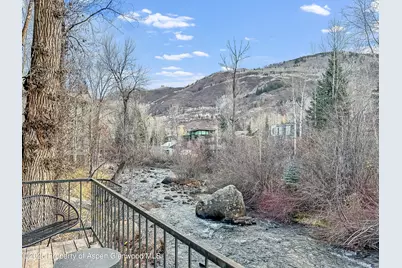 1050 Waters Avenue #9, Aspen, CO 81611 - Photo 6
