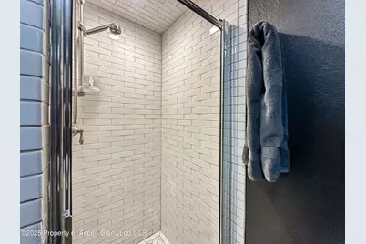 1050 Waters Avenue #9, Aspen, CO 81611 - Photo 18