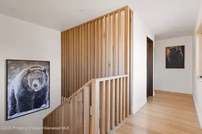 120 Turtle Cove, Aspen, CO 81611 - Photo 10