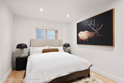 120 Turtle Cove, Aspen, CO 81611 - Photo 16