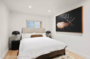 120 Turtle Cove, Aspen, CO 81611 - Photo 16