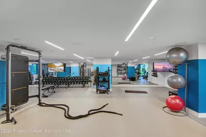 119 Wood Road #107, Snowmass Village, CO 81615 - Photo 44