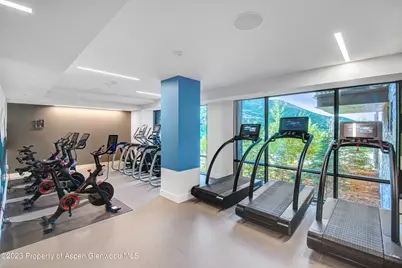 119 Wood Road #107, Snowmass Village, CO 81615 - Photo 40