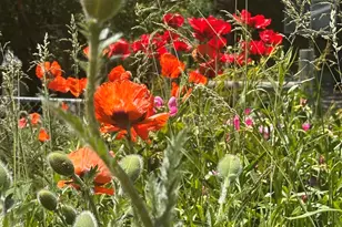 8 Navajo St, New Castle, CO 81647 - Photo 42