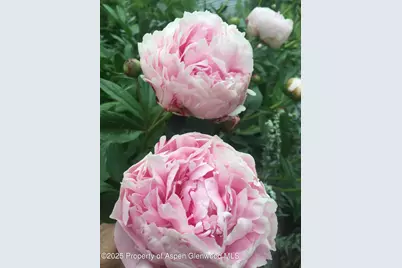 8 Navajo Street, New Castle, CO 81647 - Photo 44