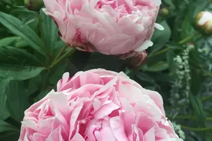 8 Navajo St, New Castle, CO 81647 - Photo 44