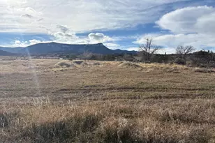 245 Co Rd 338, Parachute, CO 81635 - Photo 34