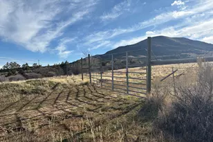 245 Co Rd 338, Parachute, CO 81635 - Photo 38