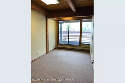 720 E Durant Avenue, Aspen, CO 81611 - Photo 6
