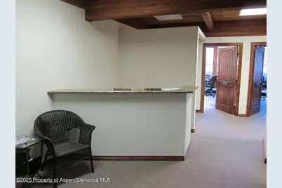 720 E Durant Avenue, Aspen, CO 81611 - Photo 10