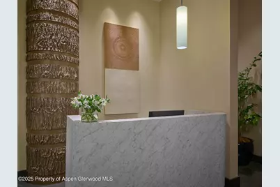 130 Wood Road #530, Snowmass Village, CO 81615 - Photo 24