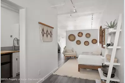 319 Aabc #Unit C, Aspen, CO 81611 - Photo 12