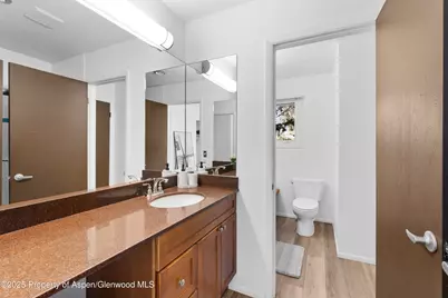 814 W Bleeker Street #C-1, Aspen, CO 81611 - Photo 12