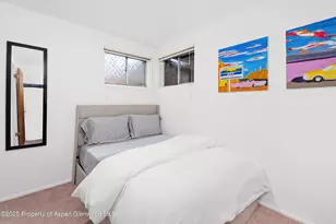 814 W Bleeker St, Aspen, CO 81611 - Photo 16