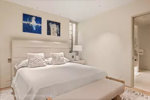 931 Gibson Ave, Aspen, CO 81611 - Photo 54