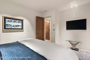 931 Gibson Ave, Aspen, CO 81611 - Photo 48