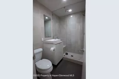 805 E Cooper Avenue #2, Aspen, CO 81611 - Photo 4