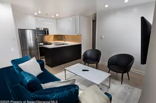 805 E Cooper Ave, Aspen, CO 81611 - Photo 8