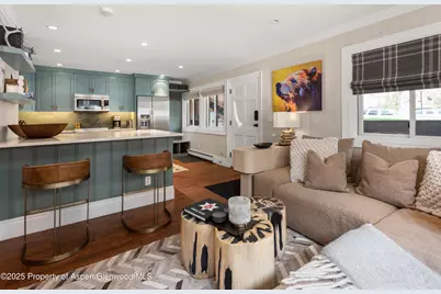 835 E Hyman Avenue #Unit D, Aspen, CO 81611 - Photo 6