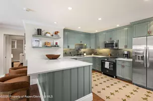 835 E Hyman Ave, Aspen, CO 81611 - Photo 4