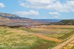 3747 301 County Rd, Parachute, CO 81635 - Photo 34