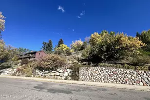 216 E Homestead Dr, Basalt, CO 81621 - Photo 18