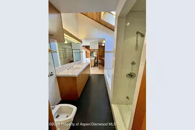 216 E Homestead Drive, Basalt, CO 81621 - Photo 8