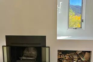 216 E Homestead Dr, Basalt, CO 81621 - Photo 4