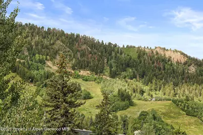 450 S Original Street #8, Aspen, CO 81611 - Photo 6